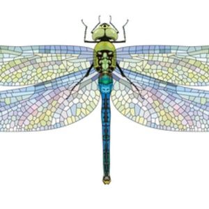 Meet your Posher, Brandi